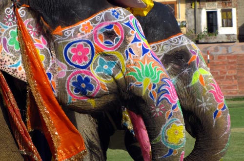 elephant festival 