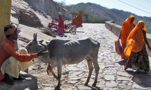 sun temple Jaipur